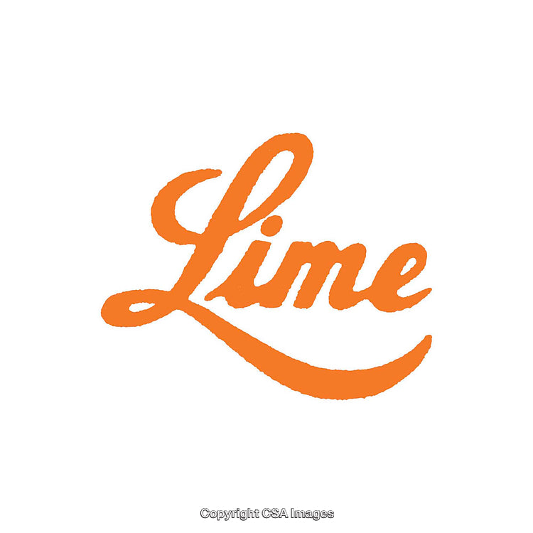 Bold Orange Handwriting Logo on a Clean White Background