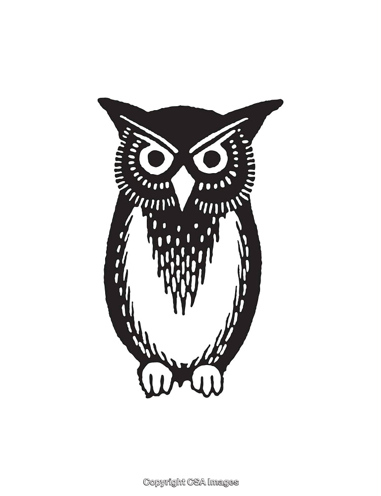 Detailed Black and White Line Art Owl Illustration Isolated on White Background