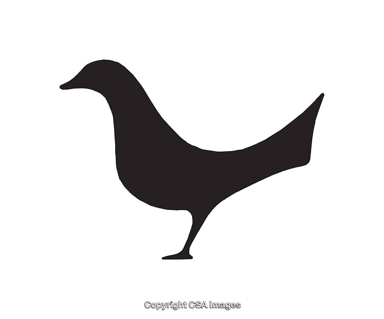 Black Silhouette Illustration of a Bird in Minimalist Style