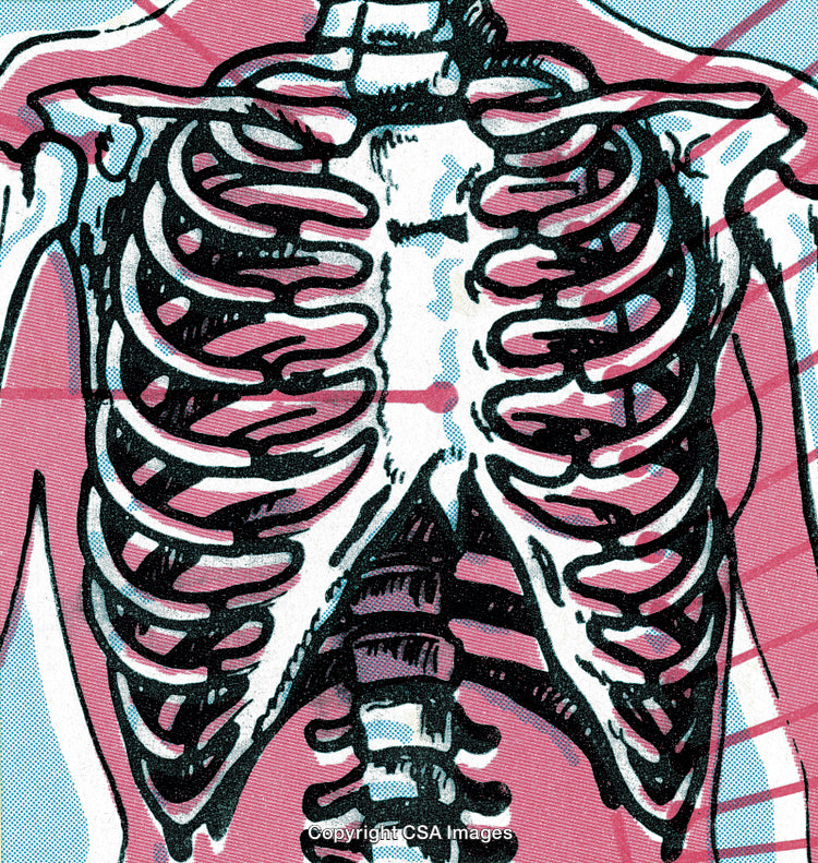 Artistic Illustration of Human Anatomy Featuring Ribcage and Vertebrae