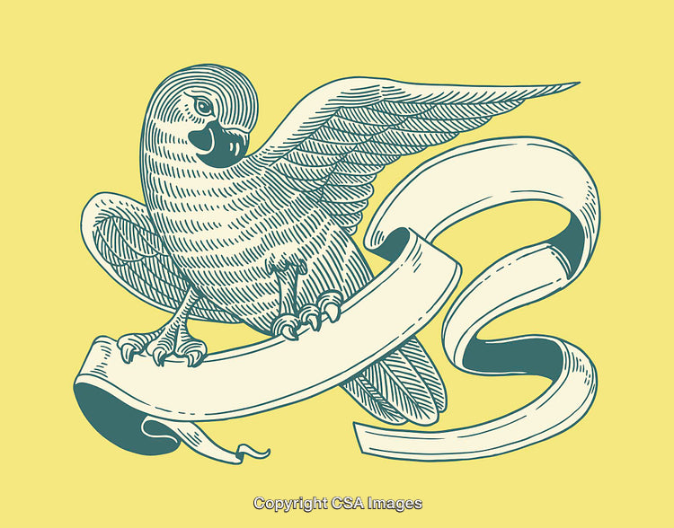 Vintage Stylized Illustration of a Parrot With Decorative Ribbon