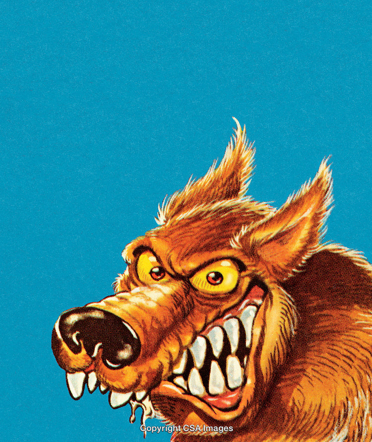 Fierce Cartoon Wolf Showing Sharp Teeth Against a Vibrant Blue Background