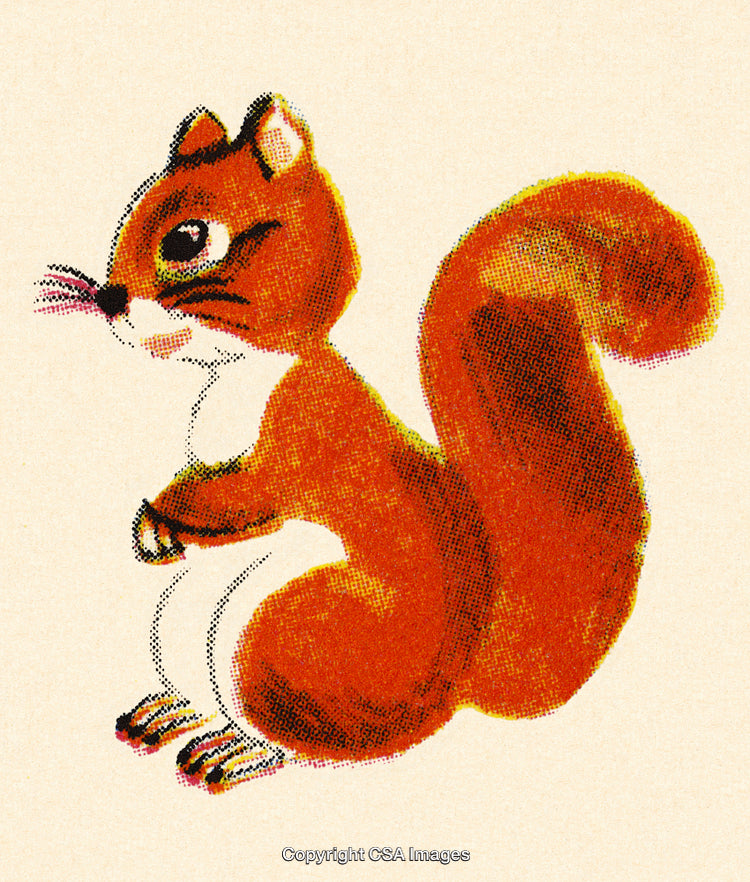 Charming Hand-Drawn Illustration of a Cute Red Squirrel With Vibrant Details
