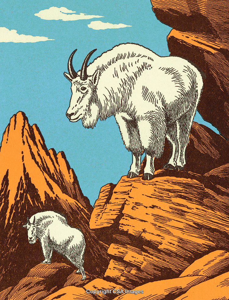 Mountain Goats Standing on Rocky Terrain Under Clear Blue Skies