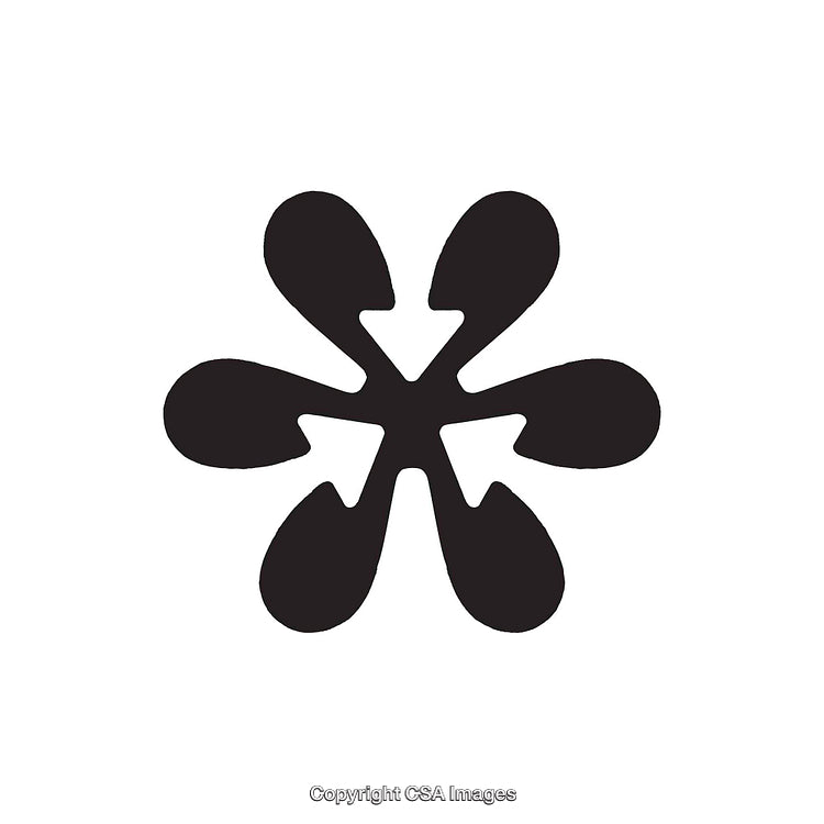 Black and White Abstract Symbol with Symmetrical Petal Shapes