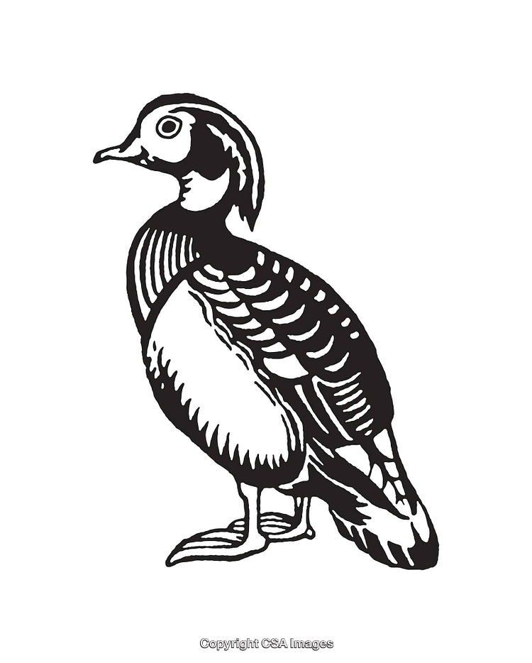 Black and White Illustrated Duck with Intricate Line Details