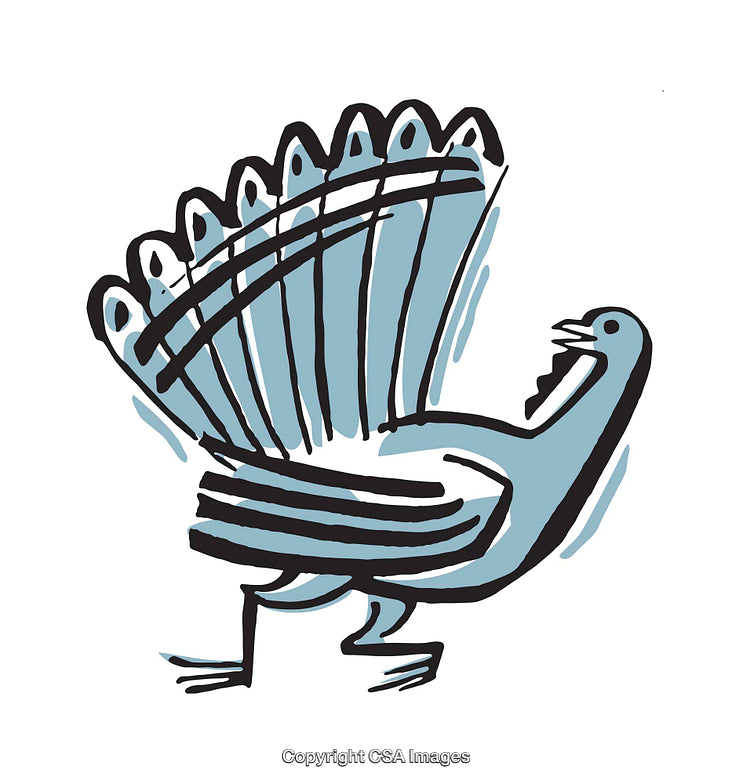 Playful Turkey Illustration with Bold Colors and Unique Artistic Flair