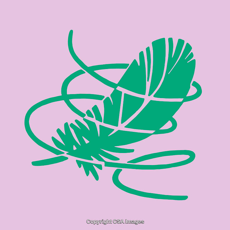 Green Feather Illustration With Abstract Line Art on Pink Background