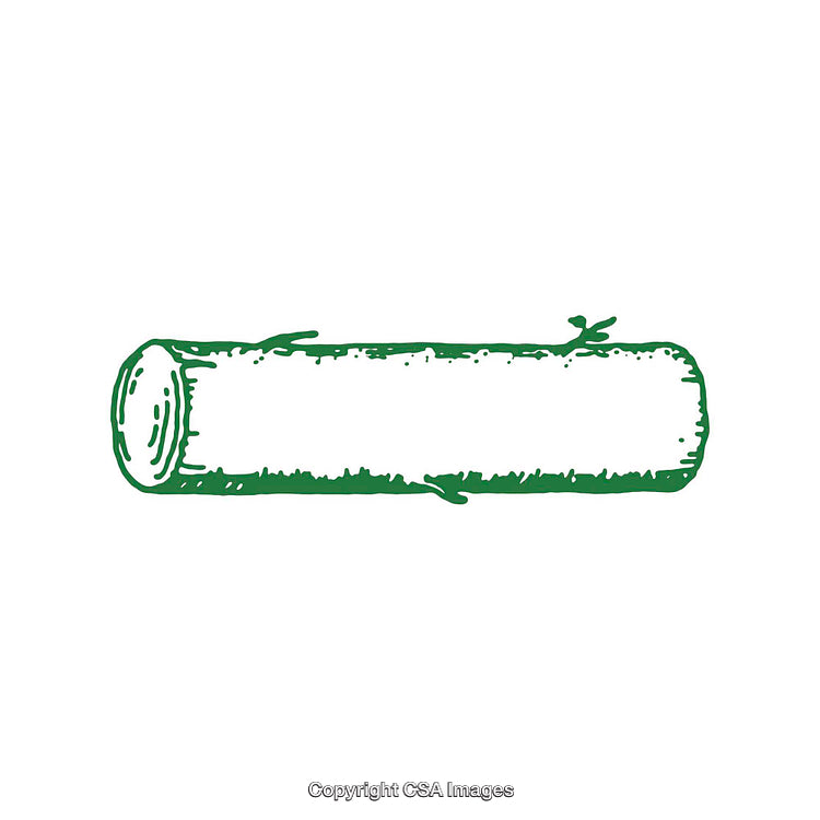 Hand-Drawn Green Tree Log Illustration on White Background