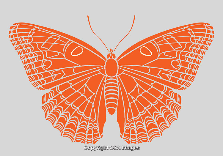 Detailed Orange Butterfly Illustration in Minimalist Line Art Style