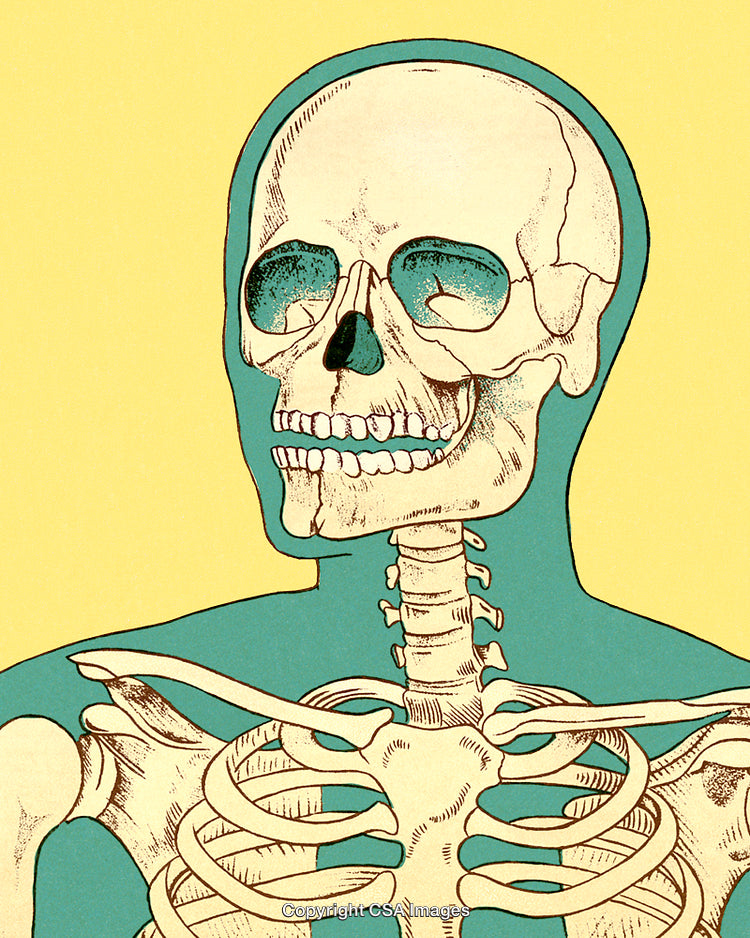 Colorful Illustration of Human Skeleton With Artistic Elements and Vibrant Background