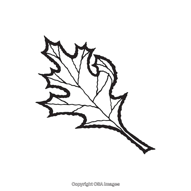 Black and White Line Art Illustration of a Maple Leaf Design