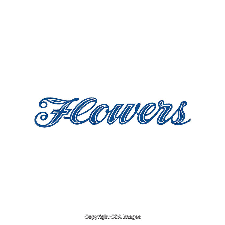 Elegant Blue Script Typography on Minimalist Background for Artistic Display