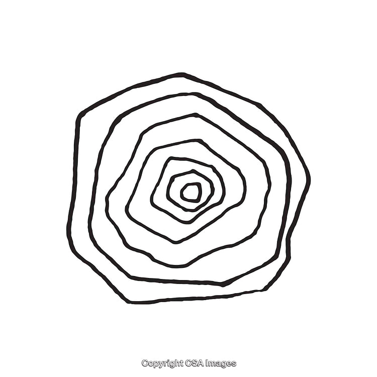 Abstract Black and White Line Art of Concentric Circular Layers