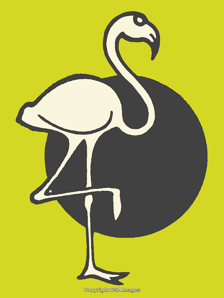 Minimalist Flamingo Illustration with a Bold Black Circle on Green Background