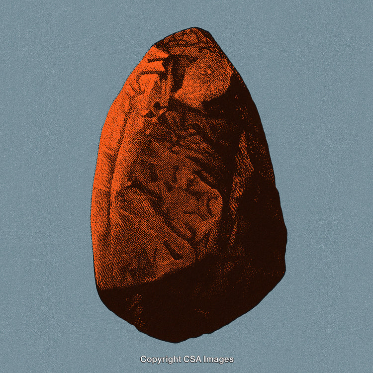 Stone Artifact Illustration in Monochrome Style With Abstract Texturing