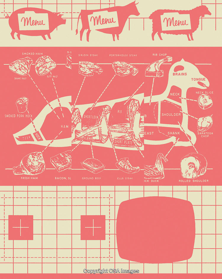 Vintage Meat Chart Illustration Featuring Cuts from Pork, Beef, and Lamb