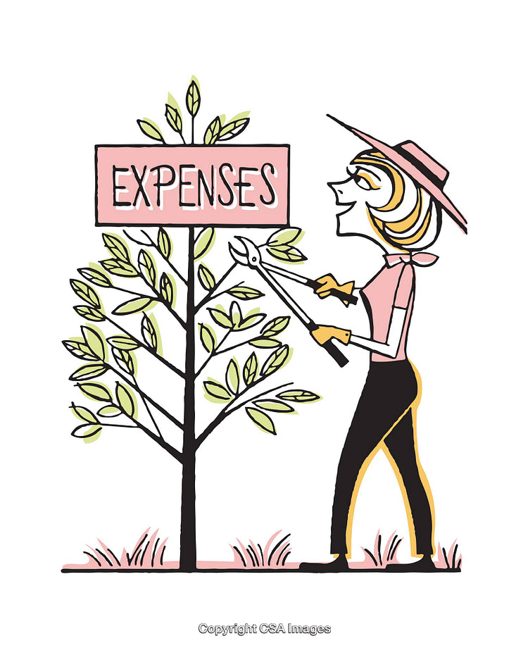 Illustration of Woman Managing Expenses Using a Plant Metaphor