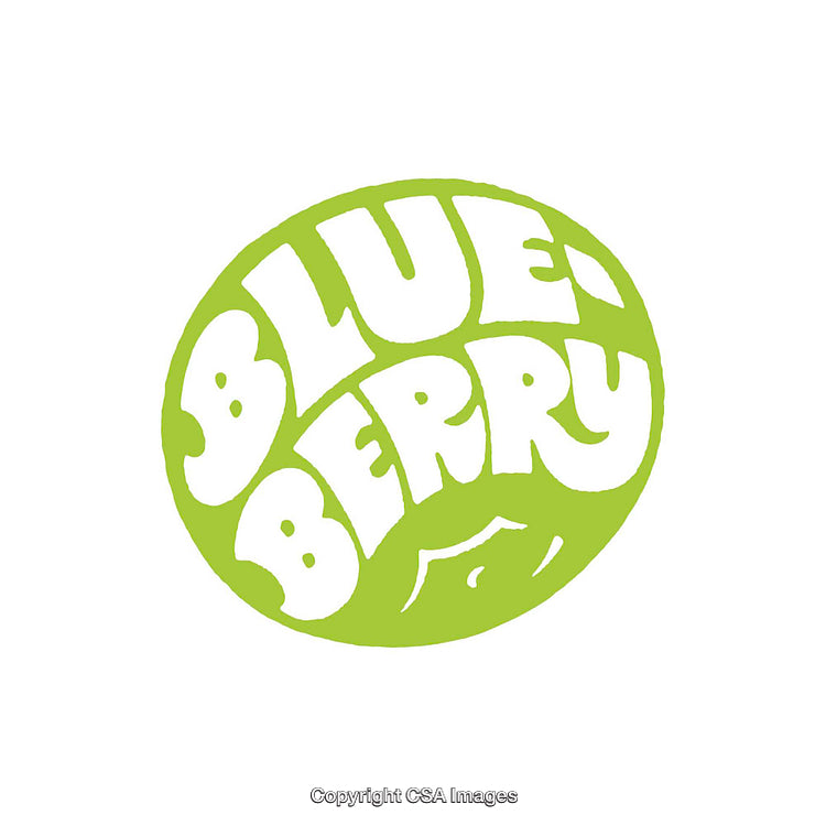 Green Retro-Style Logo Featuring Blueberry Text in Circular Font