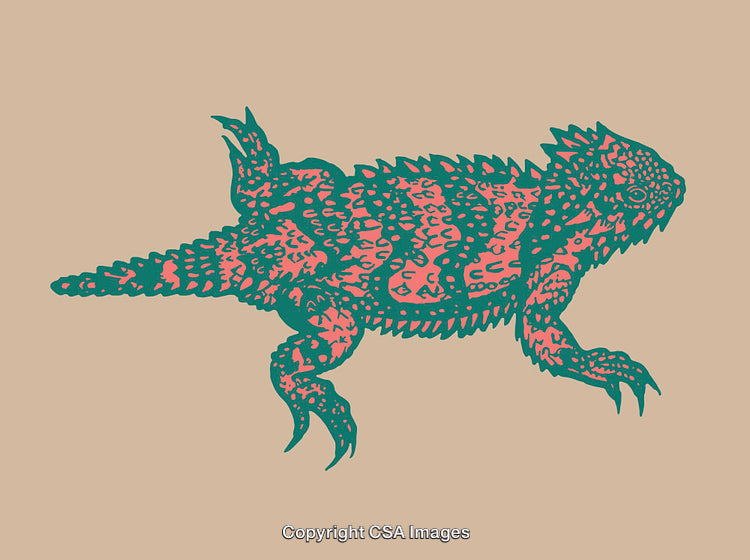 Colorful Line Art Illustration of a Horned Lizard in Artistic Style