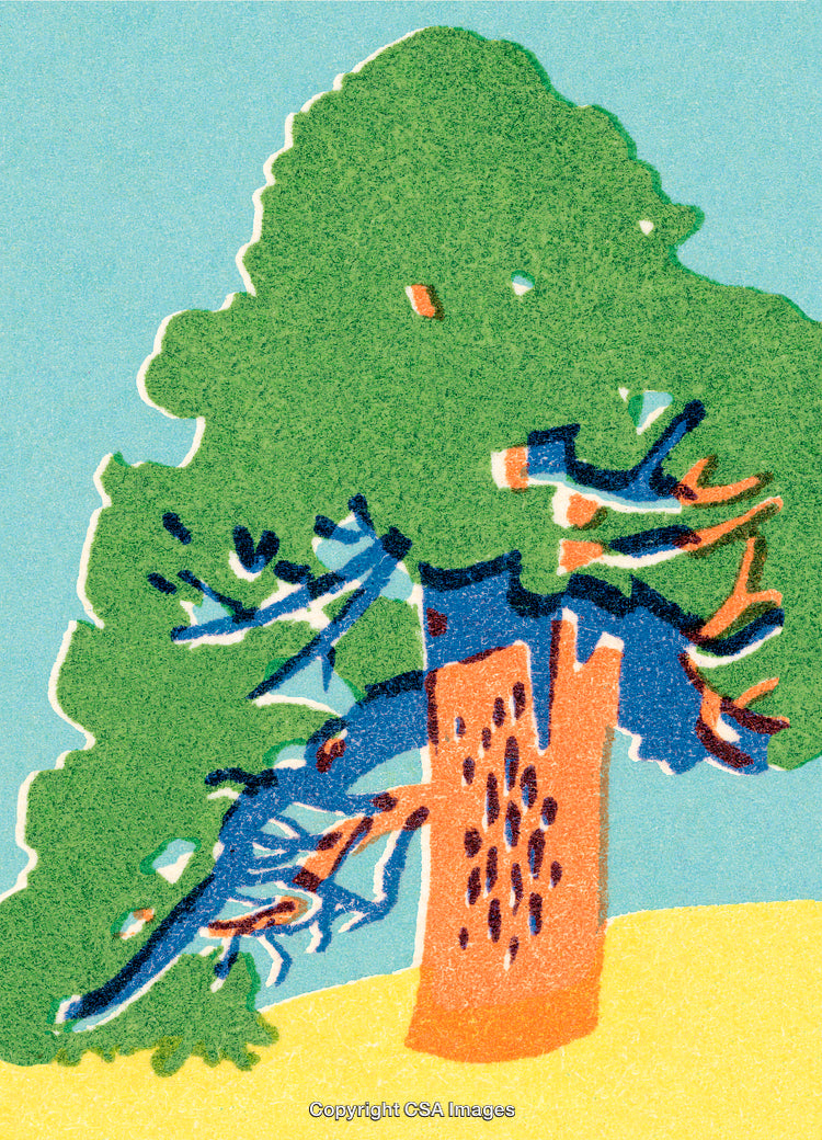 Colorful Retro Illustration of a Stylized Tree in Natural Scenery