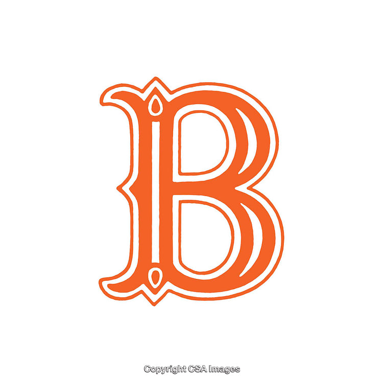 Decorative Illustrated Ornamental Letter B In Bright Orange Color