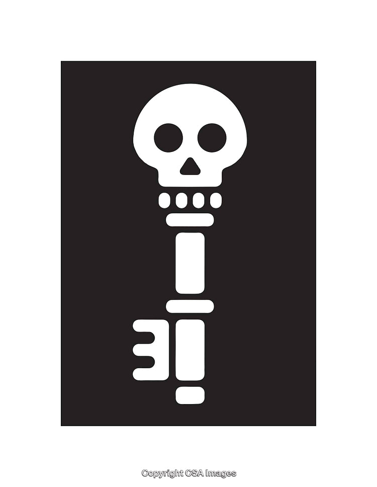 Black and White Illustration Featuring Skull-Shaped Key Design