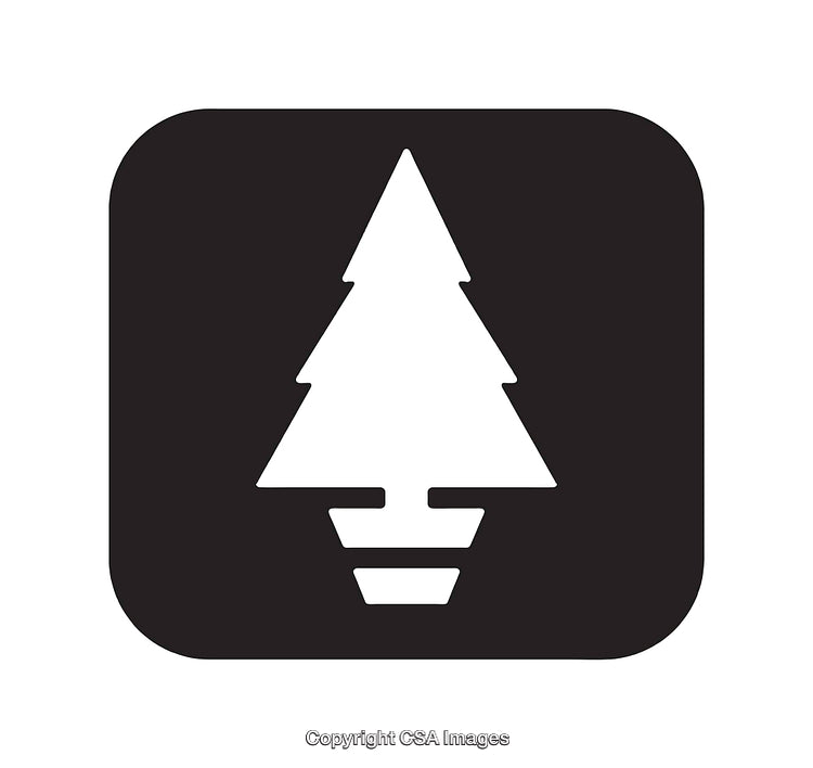 Minimalist Black and White Icon Depicting a Pine Tree Symbol