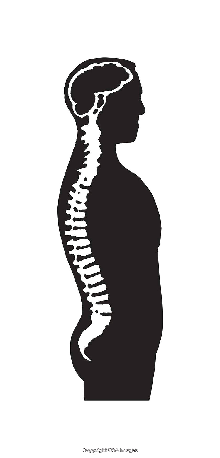 Silhouette of a Human Figure Highlighting Brain and Spine Anatomy