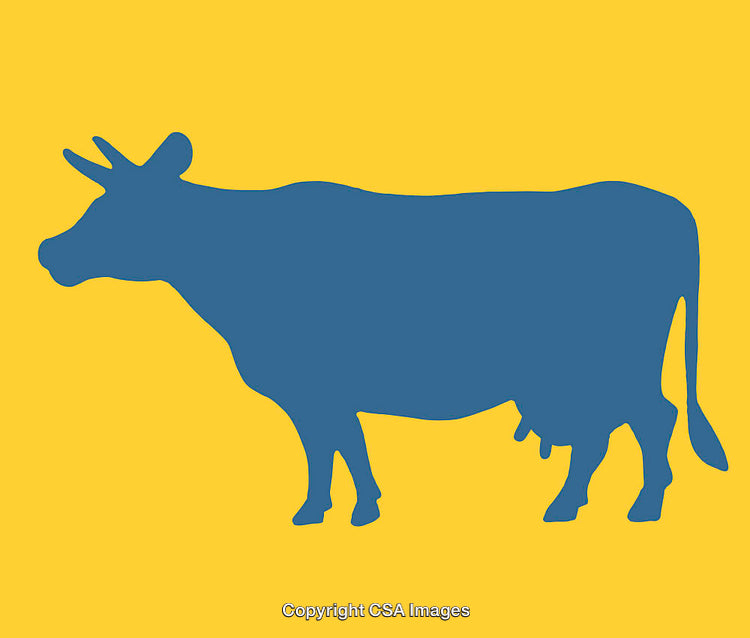 Blue Cow Silhouette Illustration on a Bold Yellow Background