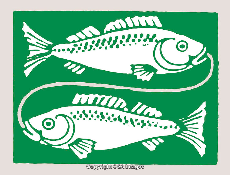 Stylized Green and White Illustration of Two Fish in Graphic Design