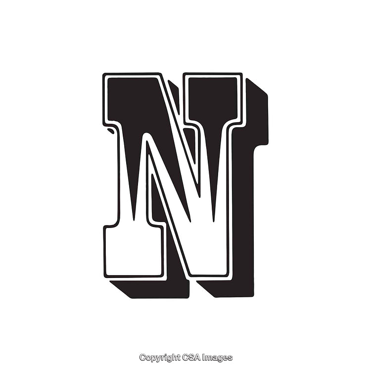 Black and White Stylized Letter N Design Artwork