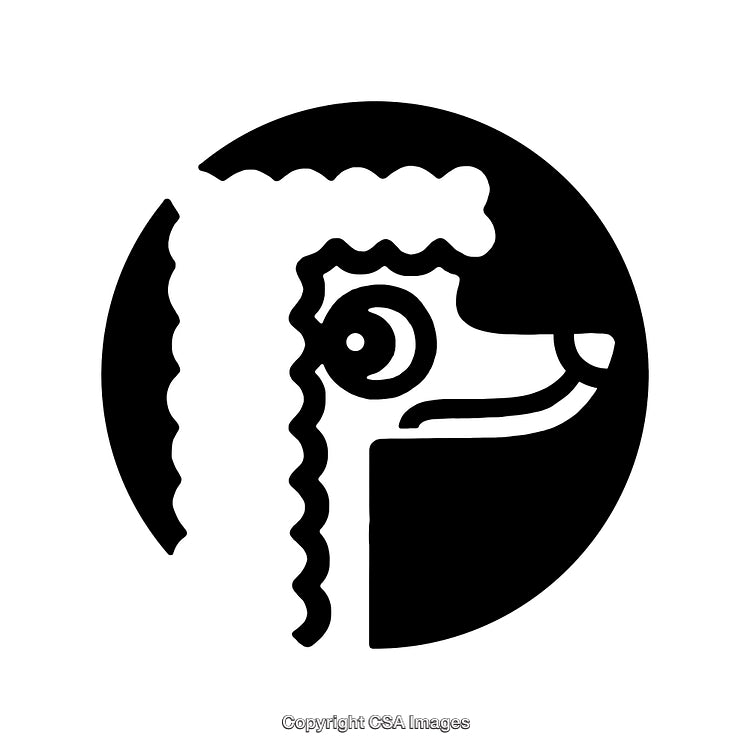 Black and White Illustration Featuring Stylized Poodle in Minimalistic Graphic Design