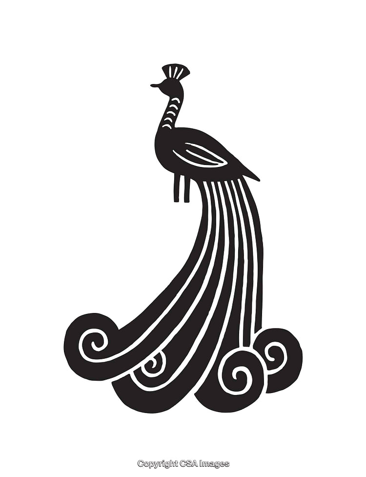 Black and White Line Art Illustration of a Peacock with Flowing Feathers