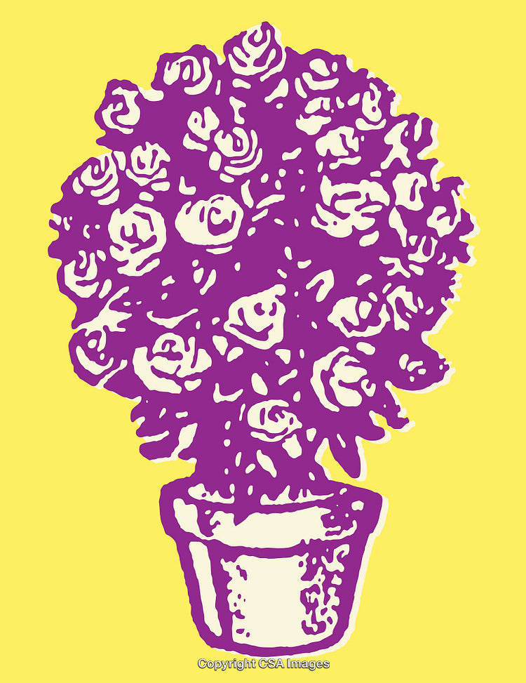 Purple Floral Line Art Illustration on a Bright Yellow Background