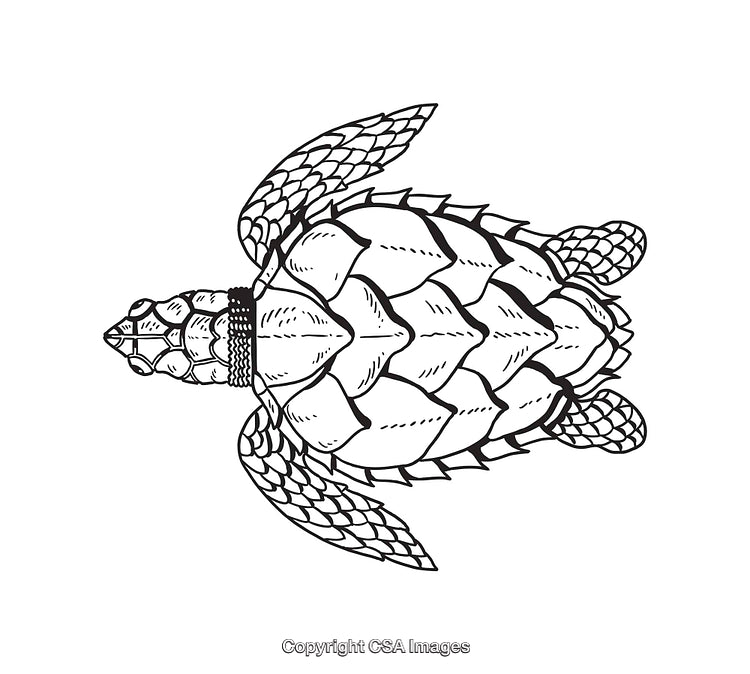Detailed Black and White Line Art Illustration of a Sea Turtle