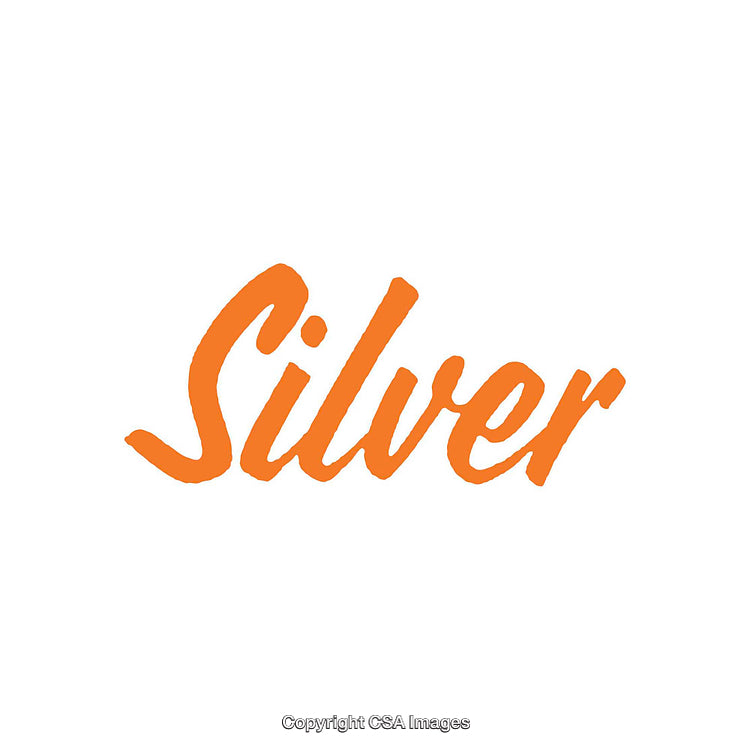 Minimalistic Orange Brush Script Text on White Background Design