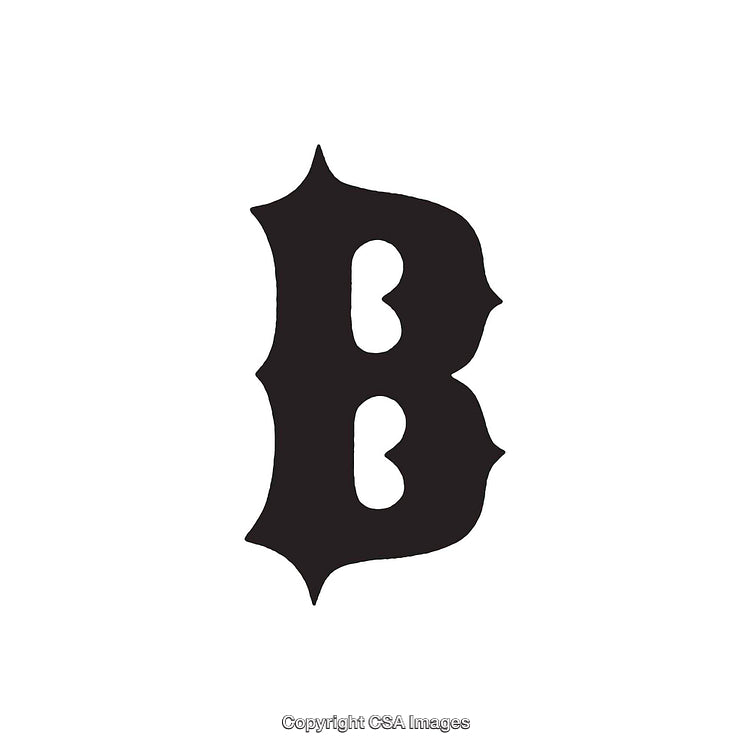 Stylized Black Letter B Design Isolated on White Background
