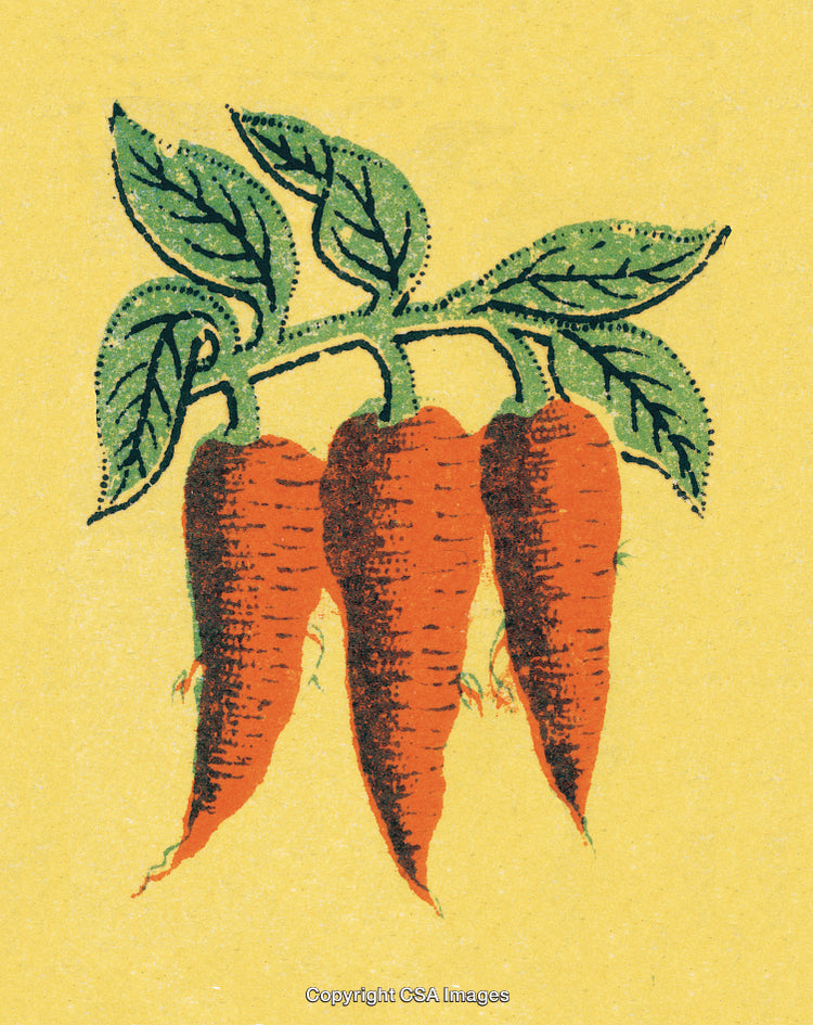 Vintage Illustration of Carrots With Green Leaves on a Yellow Background