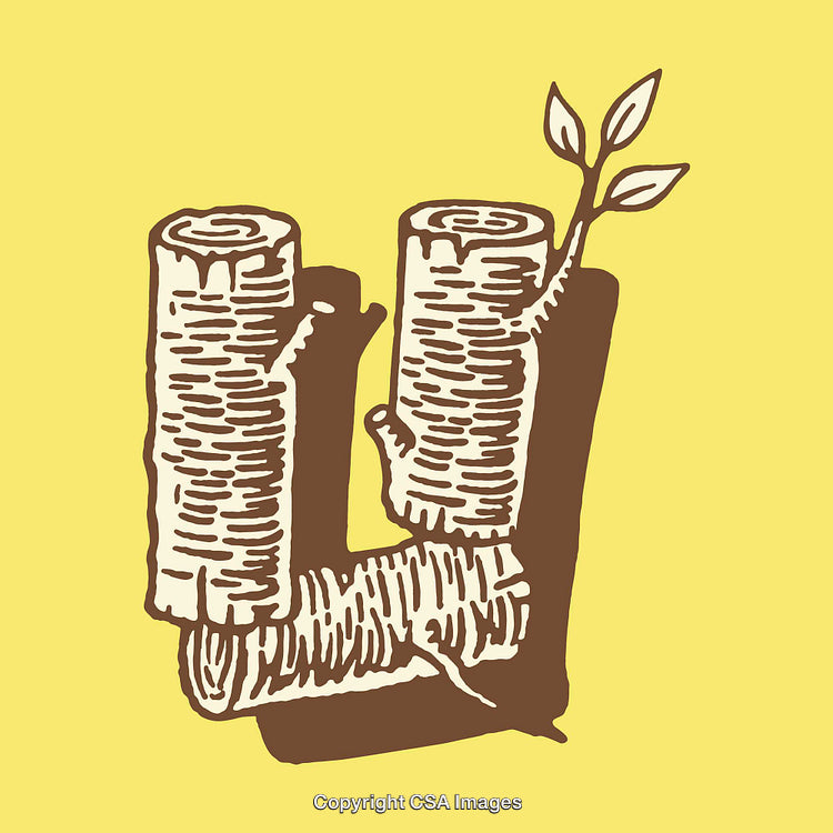 Artistic Depiction of the Letter U with Tree Illustration Style