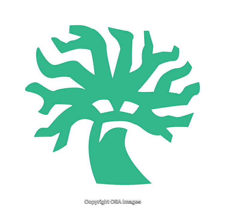 Abstract Green Tree-Shaped Icon on White Background