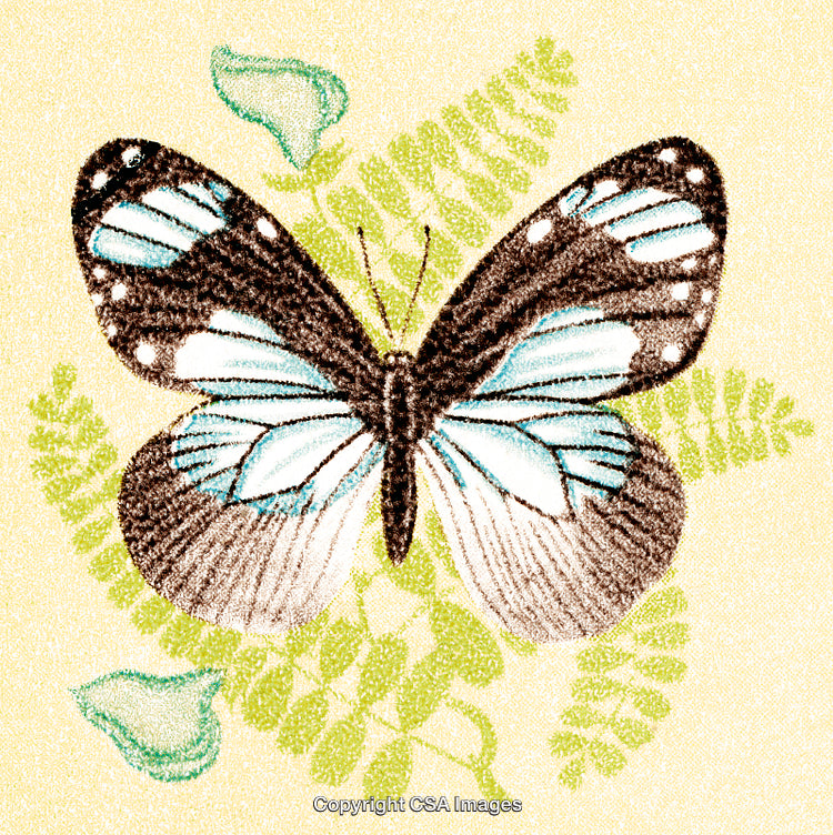 Illustrated Butterfly on Ferns with Vibrant Colors and Detailed Patterns