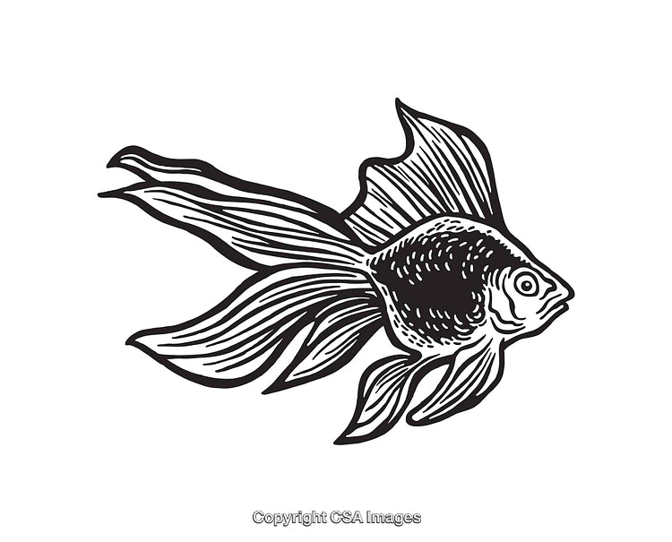 Beautiful Black and White Illustration of a Graceful Fish in Line Art