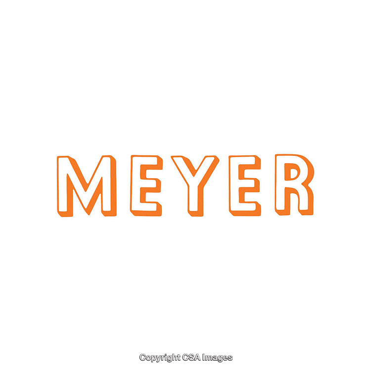 Bold Orange Typography Art Spelling the Word MEYER on White Background