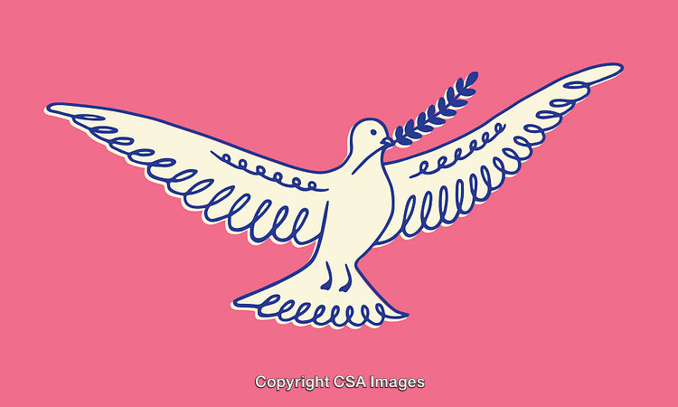 Color Line Art Illustration of a Dove with Olive Branch on Pink Background