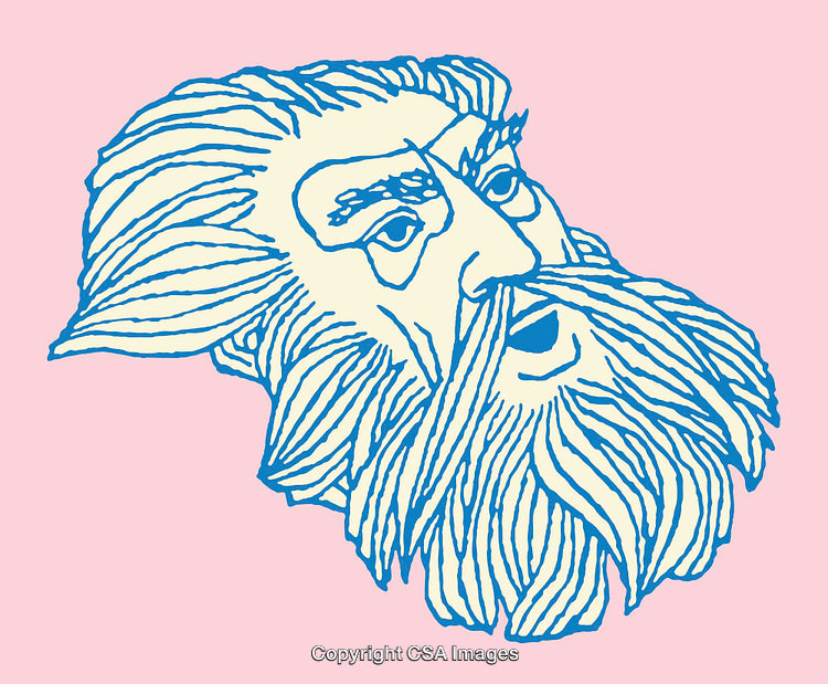 Vintage Style Line Art Illustration of Bearded Male Face
