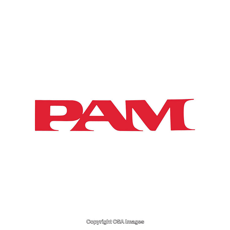 Red Bold PAM Logo on Clean White Background