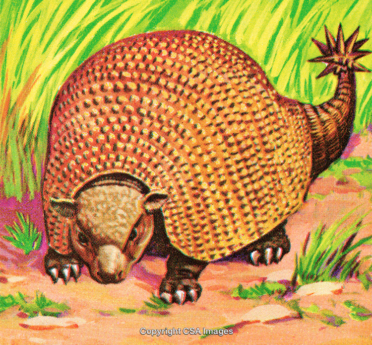 Illustration of an Armadillo in a Natural Green Grassy Setting