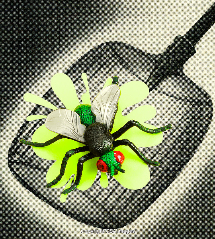 Close-Up of a Toy Fly on a Swatter with Vibrant Colors