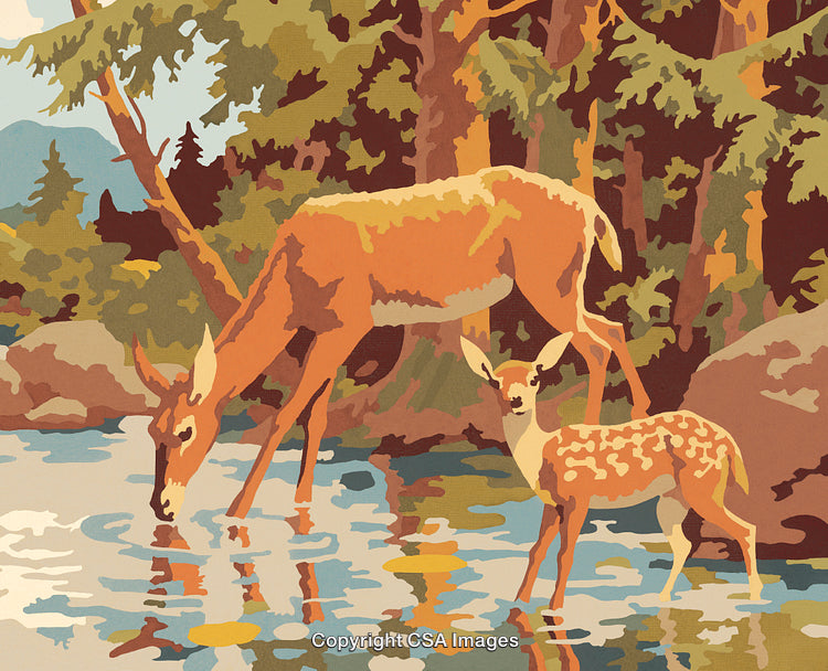 Illustration of Deer at Forest Stream in Paint by Number Style